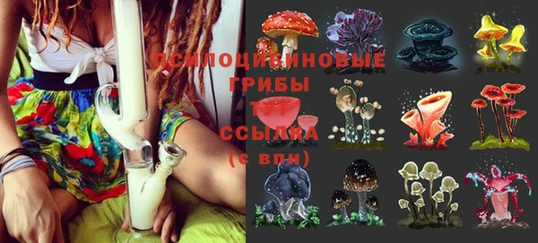 дмт Майский