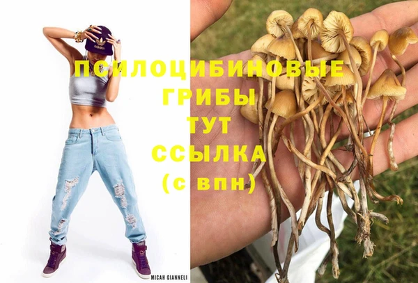 трава Магадан