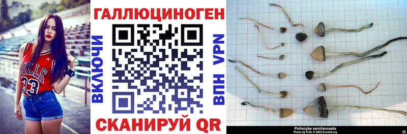 Псилоцибиновые грибы MAGIC MUSHROOMS  как найти   Темрюк 