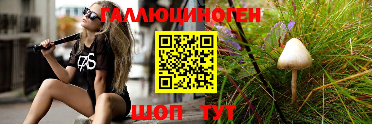 купить   Темрюк  Псилоцибиновые грибы ЛСД  Галлюциногенные грибы Psilocybe 